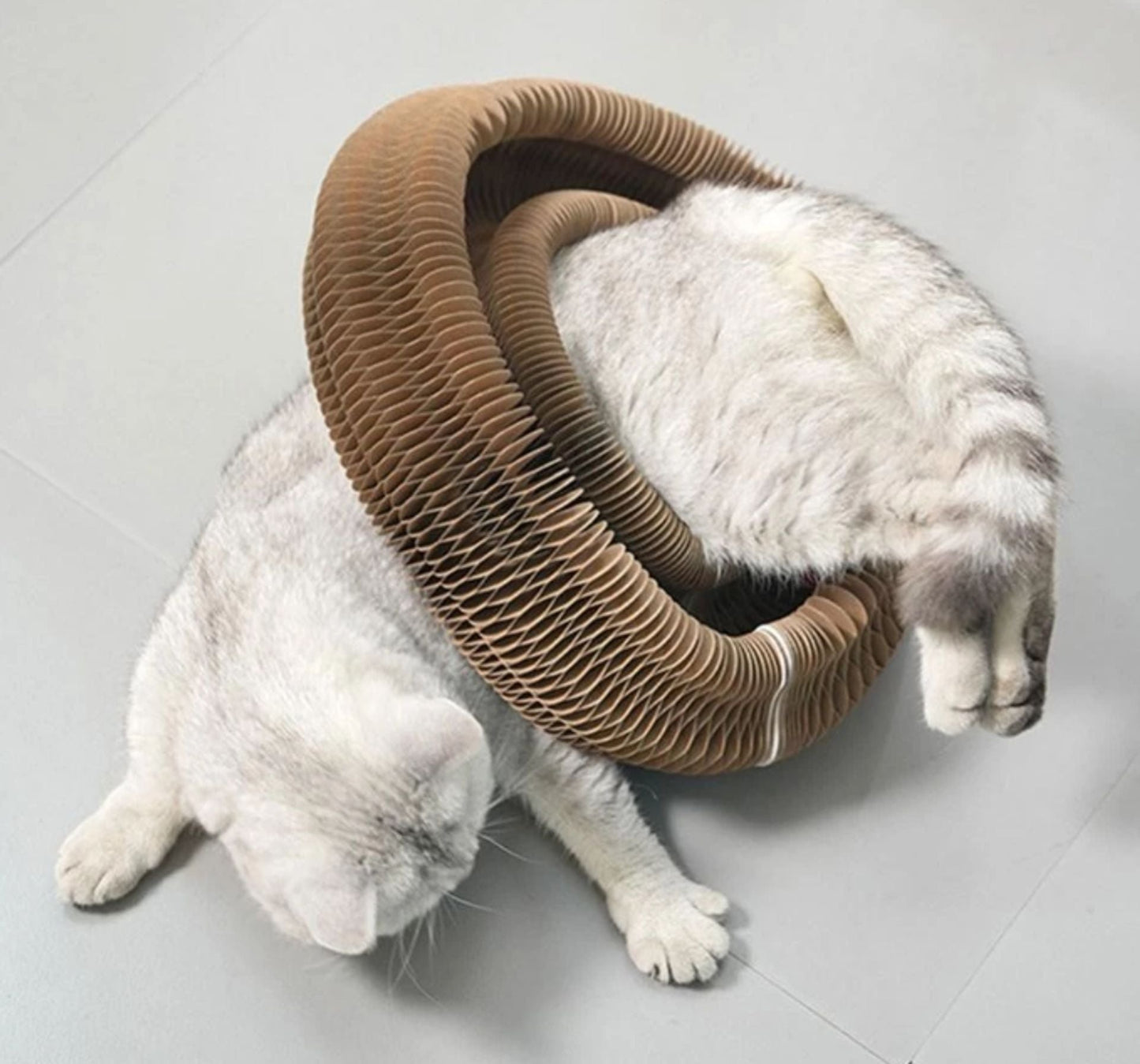 🐱Kitty Kurlz-Magic Foldable Scratcher & Cat Bed🛌