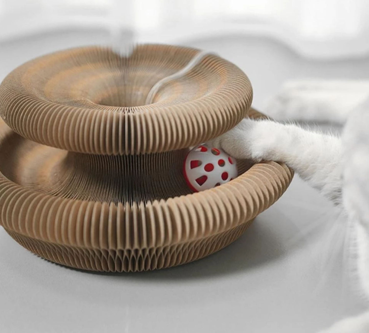 🐱Kitty Kurlz-Magic Foldable Scratcher & Cat Bed🛌