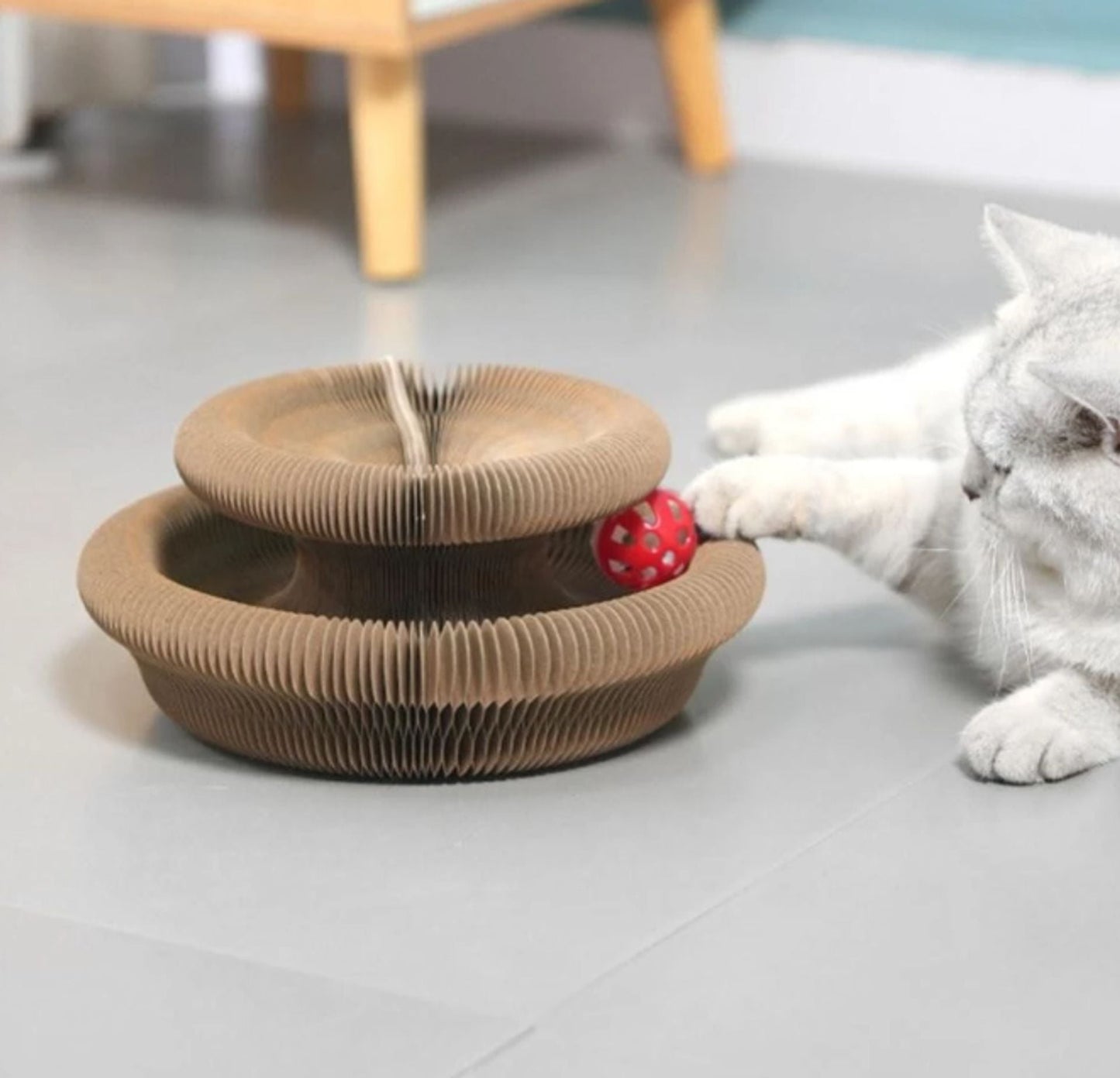 🐱Kitty Kurlz-Magic Foldable Scratcher & Cat Bed🛌