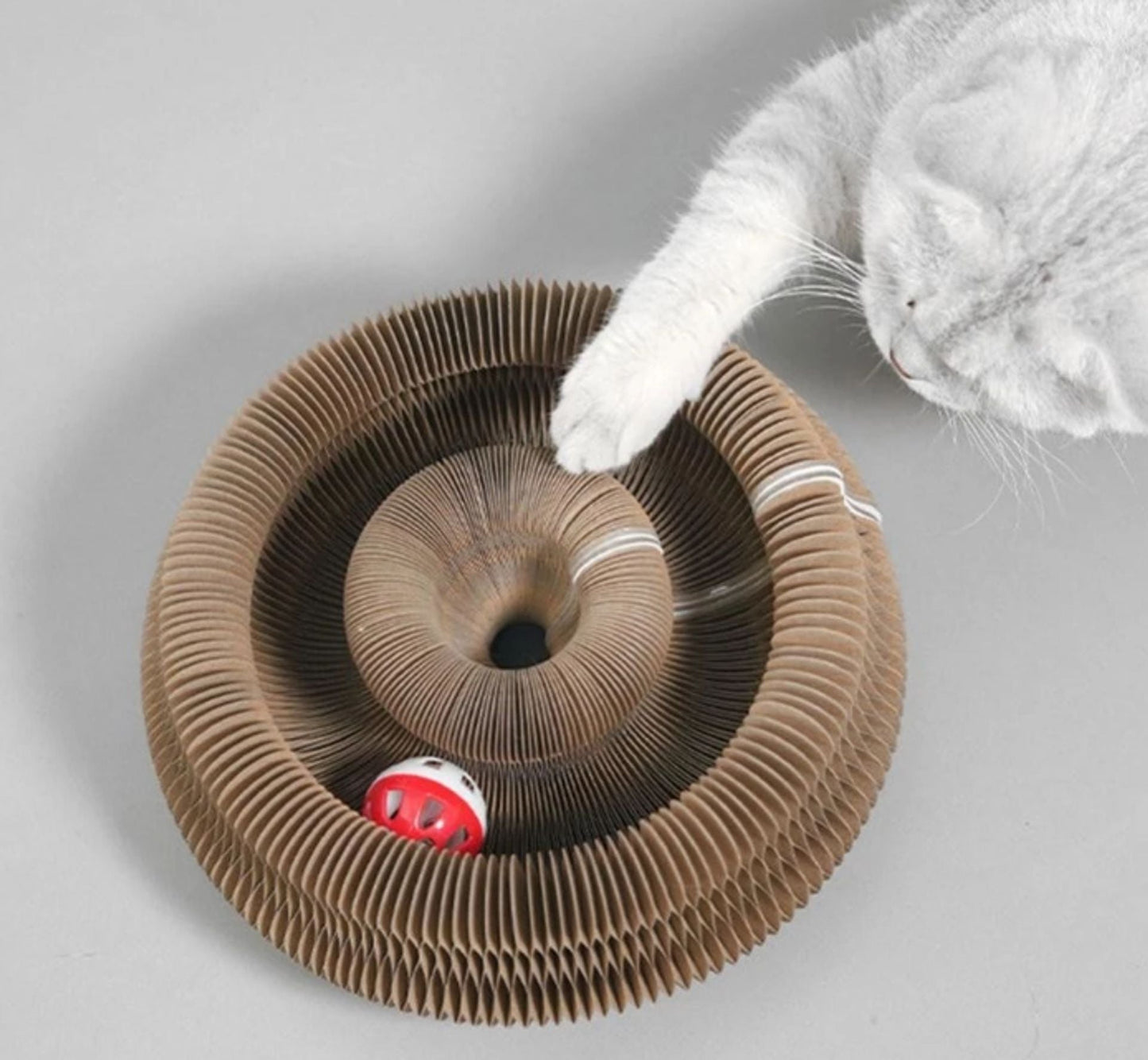 🐱Kitty Kurlz-Magic Foldable Scratcher & Cat Bed🛌