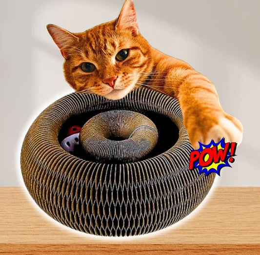 🐱Kitty Kurlz-Magic Foldable Scratcher & Cat Bed🛌