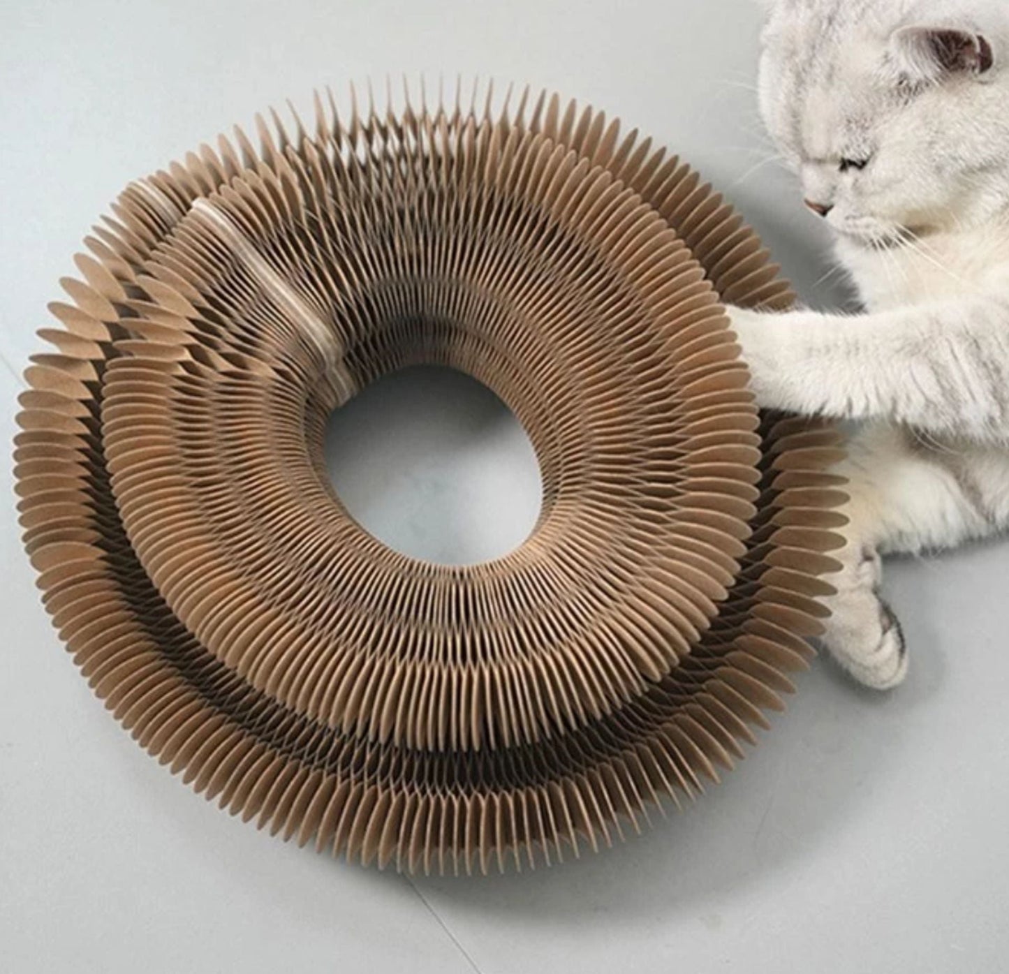 🐱Kitty Kurlz-Magic Foldable Scratcher & Cat Bed🛌