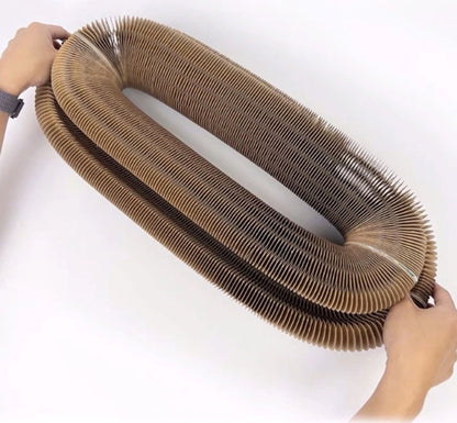 🐱Kitty Kurlz-Magic Foldable Scratcher & Cat Bed🛌