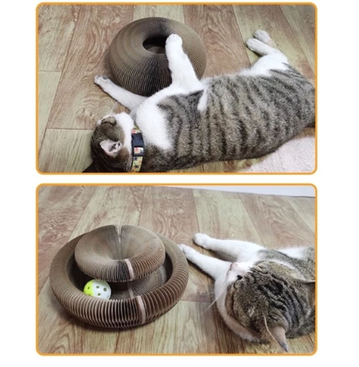 🐱Kitty Kurlz-Magic Foldable Scratcher & Cat Bed🛌